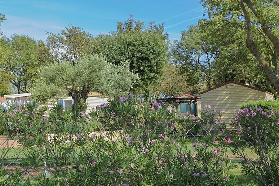 camping port pothuau