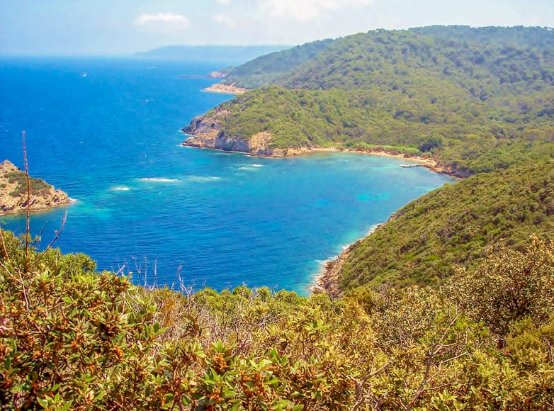 tourisme port cros