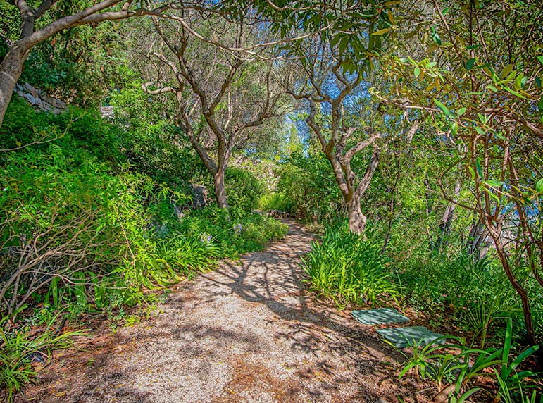 gardens hyeres