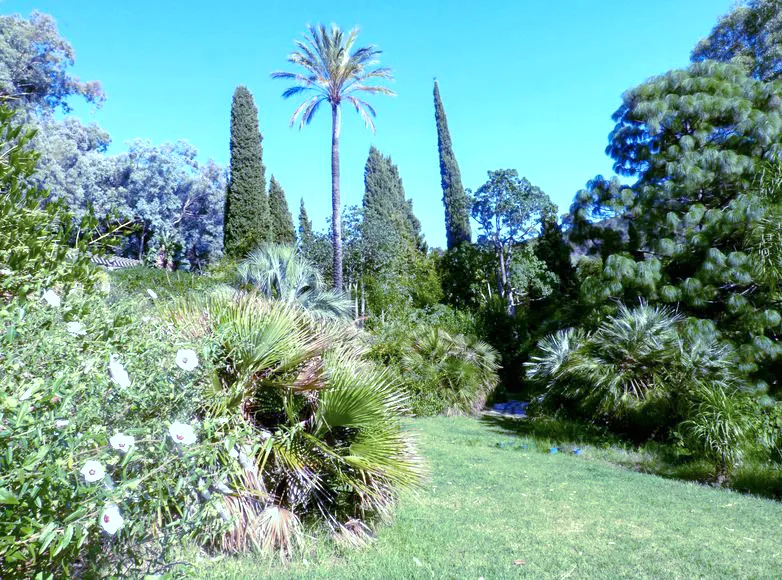 visita al giardino dell'america subtropicale