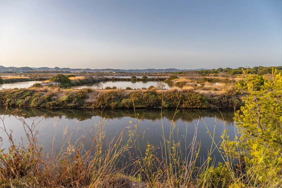 Les Salins Hyères