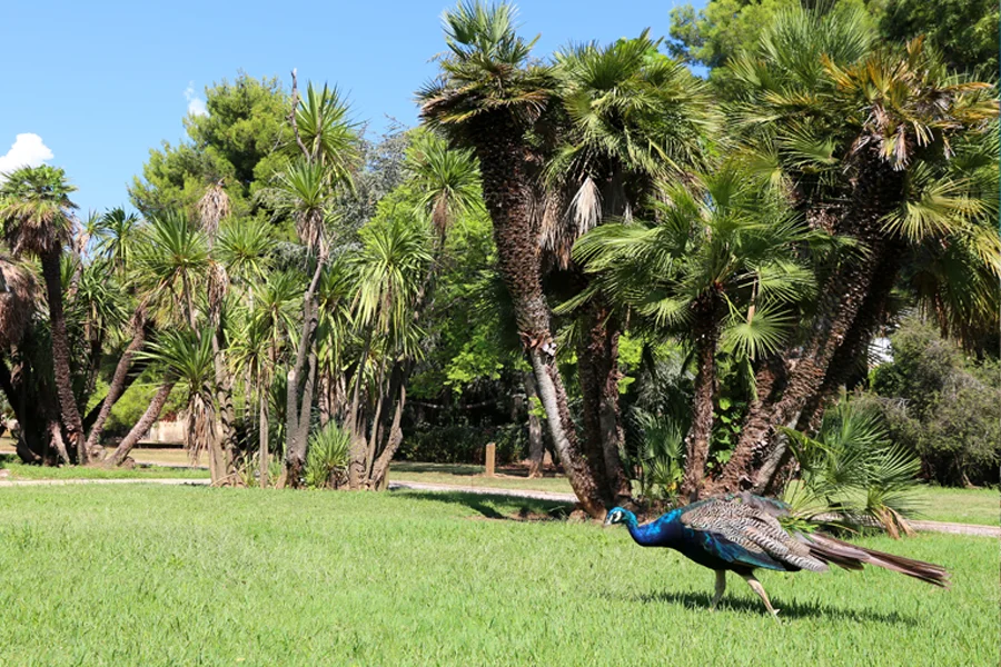 Parc Olbus Riquier