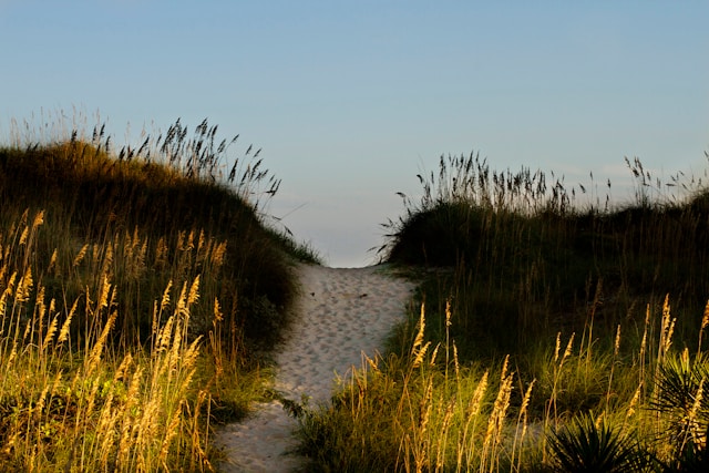 Sentier Littoral