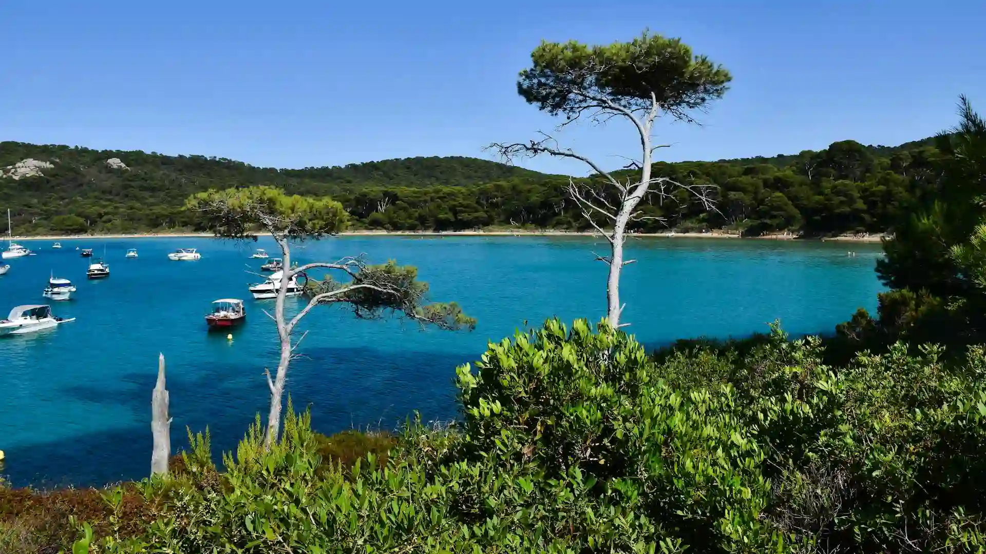 Visiter Porquerolles
