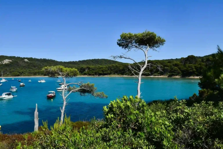 île de Porquerolles